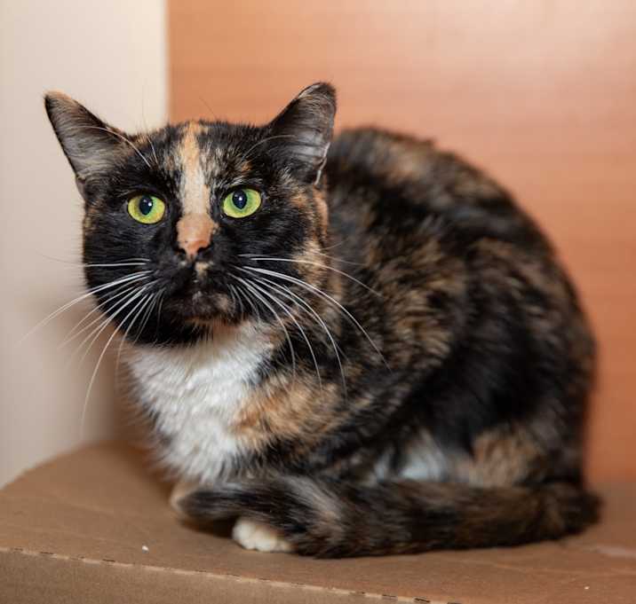 Photo of Natasha