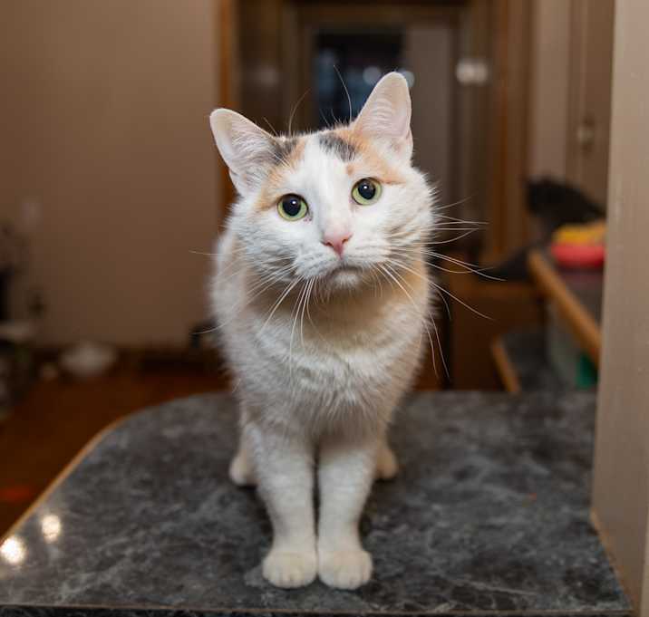 Photo of Molly