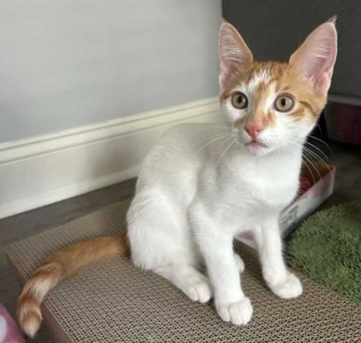 Photo of KEN