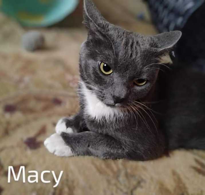 Photo of Macy
