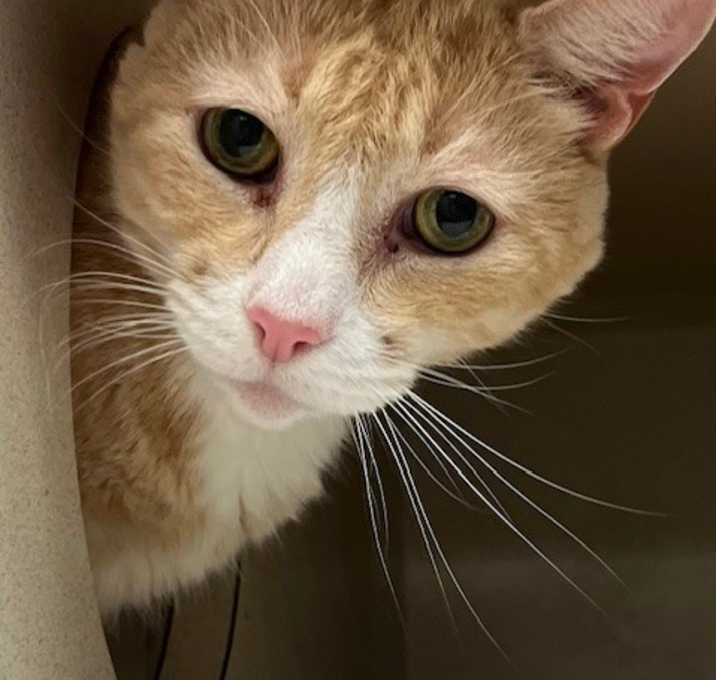 Photo of Mooshy
