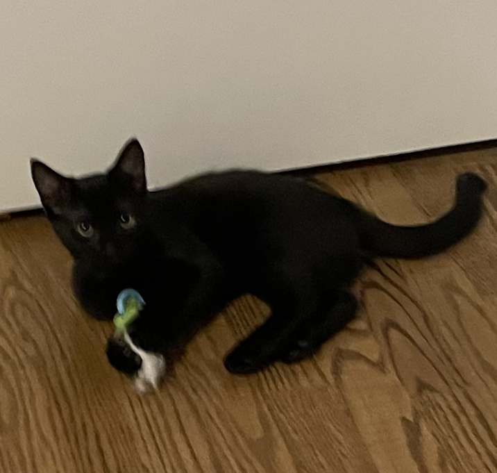 Photo of Lily