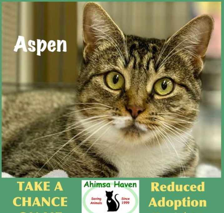 Photo of Aspen