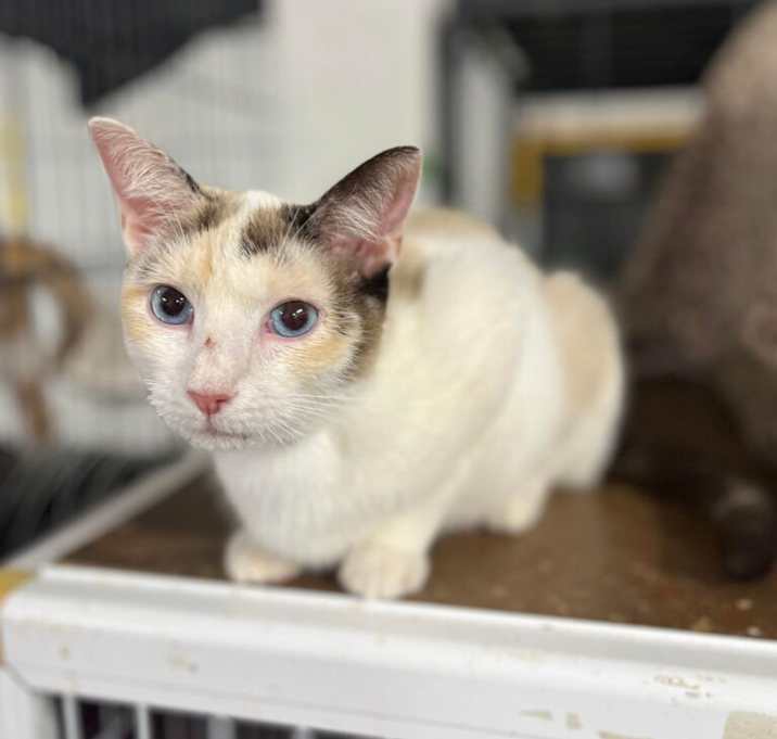 Photo of Rosita