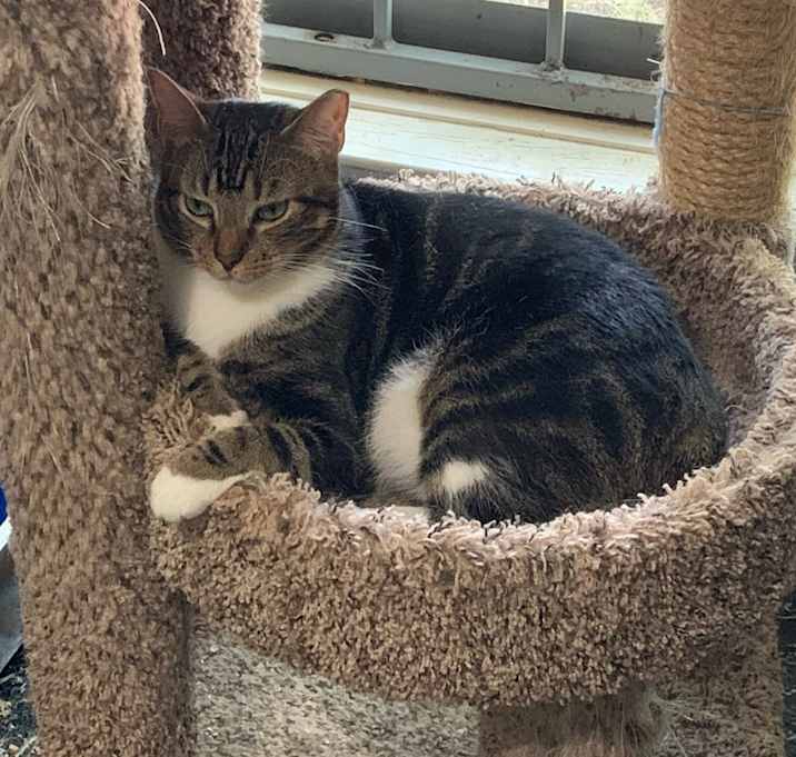Photo of Leia