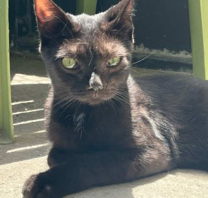 Photo of Jenson (Jetty) (Cocoa)
