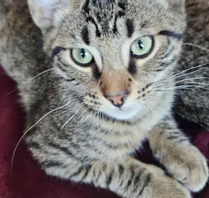Photo of Buffy