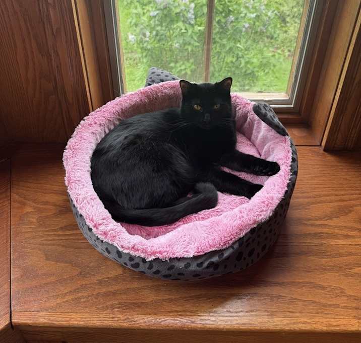 Photo of Snicker