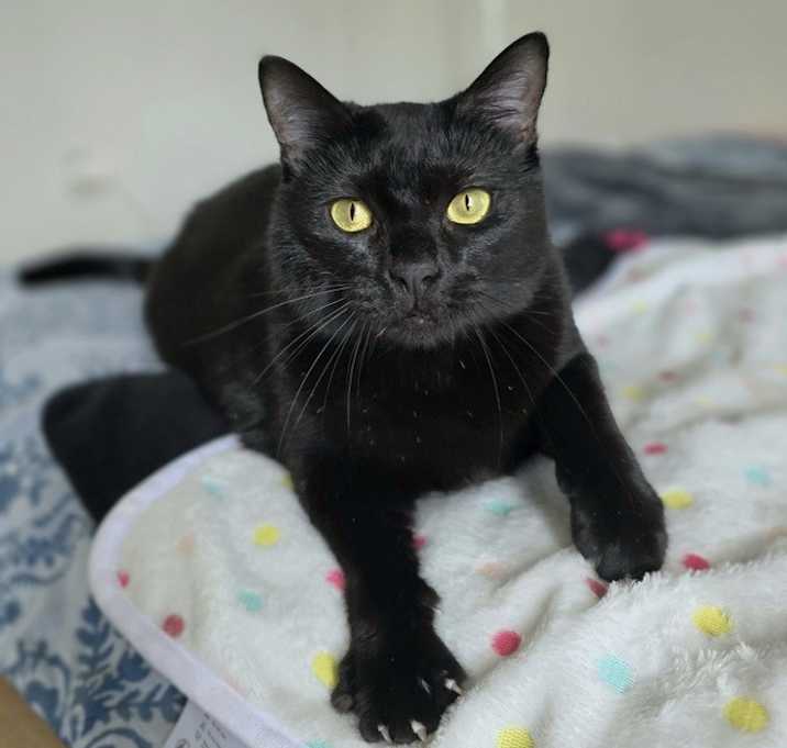 Photo of Amelia