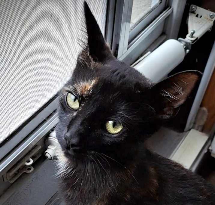 Photo of Berry