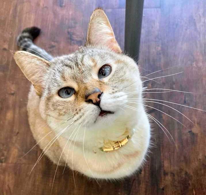 Photo of Macy