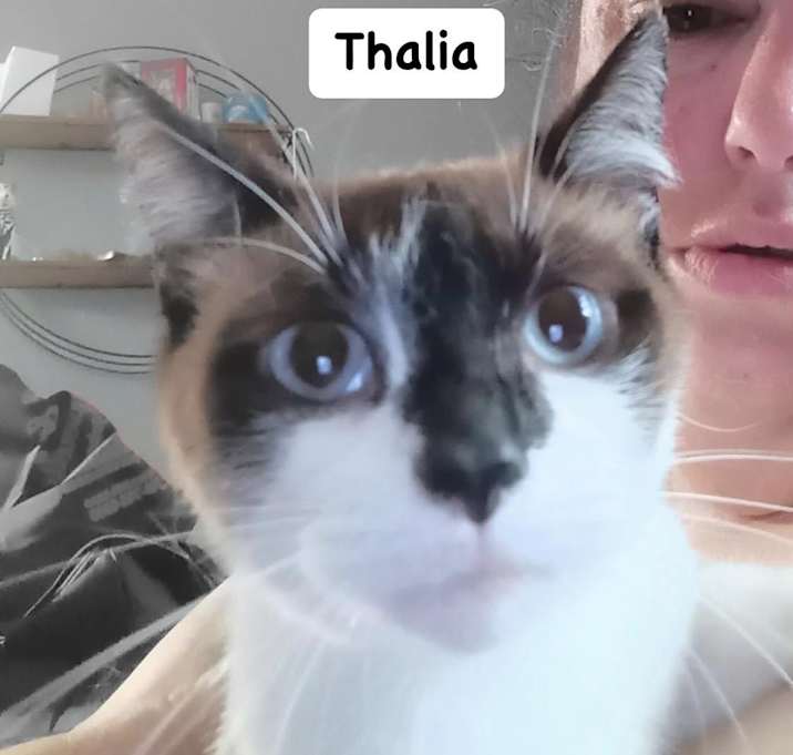 Photo of Thalia
