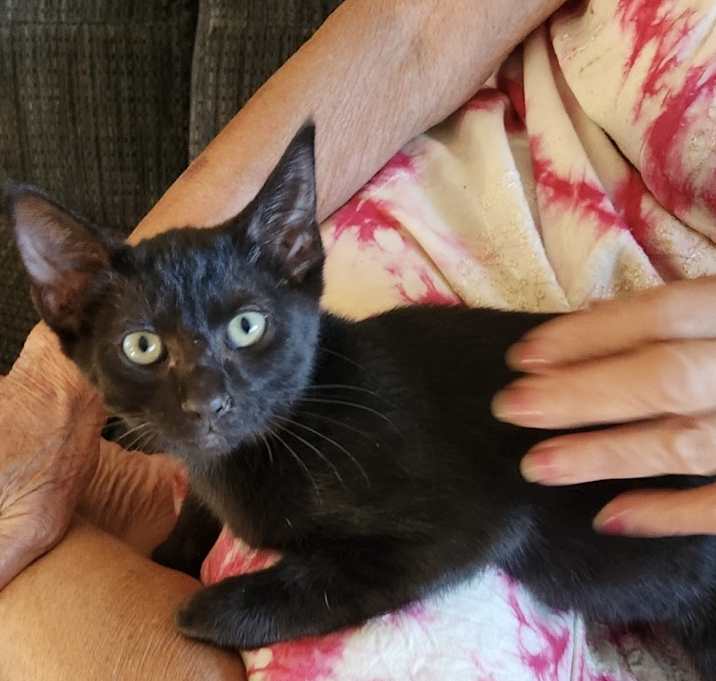 Photo of Gigi