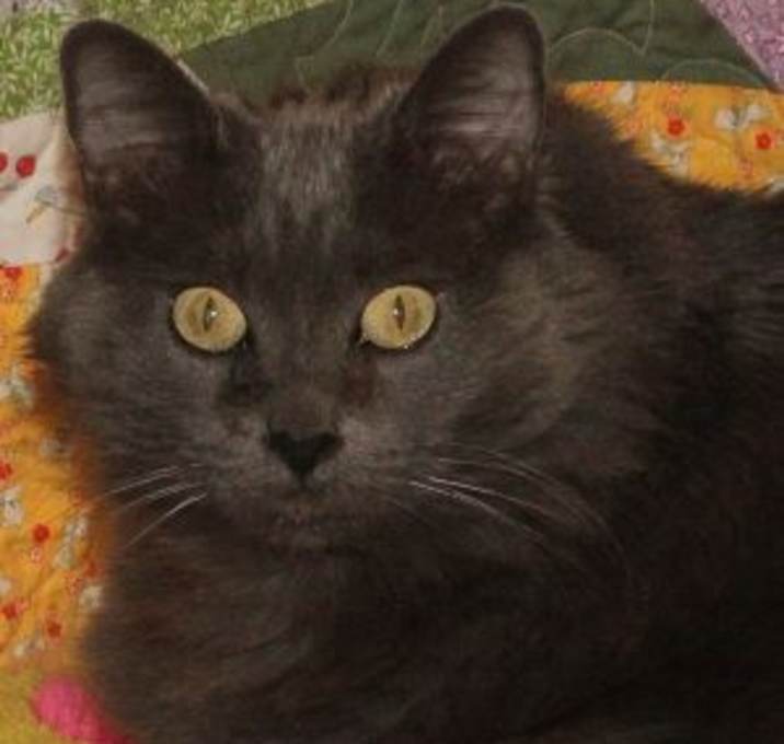Photo of Kit