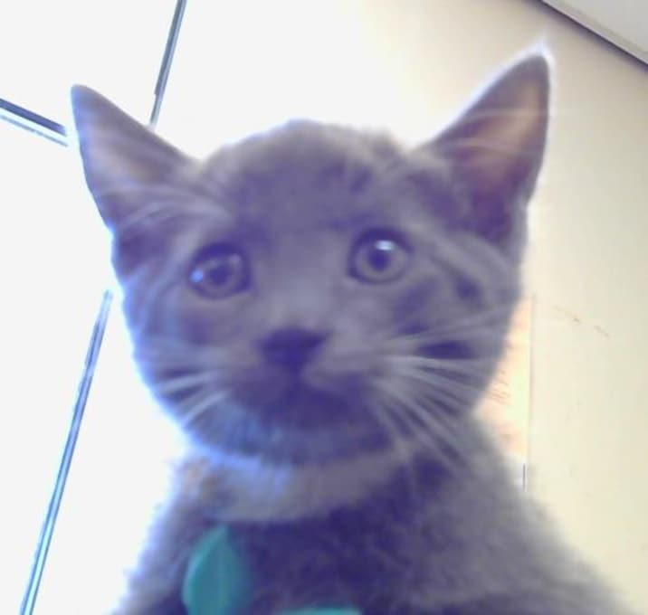 Photo of No Name