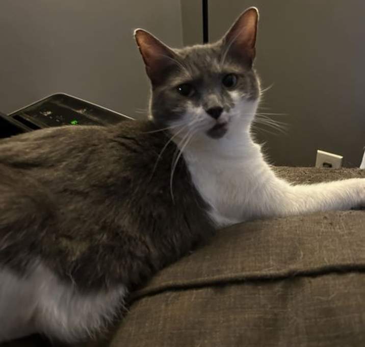Photo of Millie C Hill