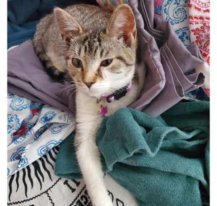 Photo of Ruby