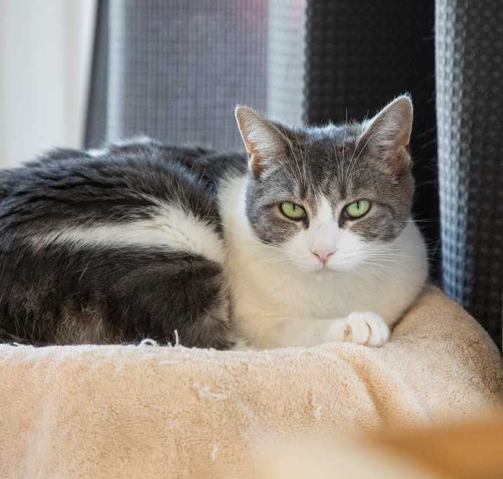Photo of Sage