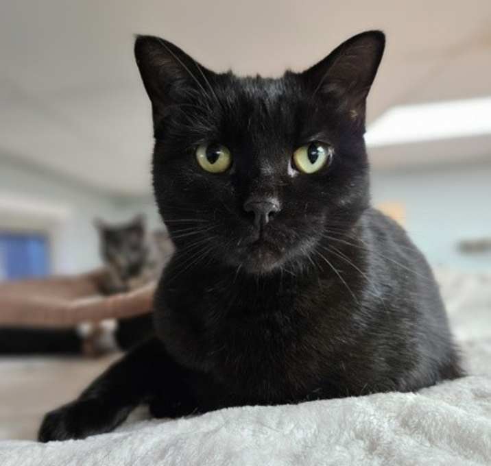 Photo of Mystique