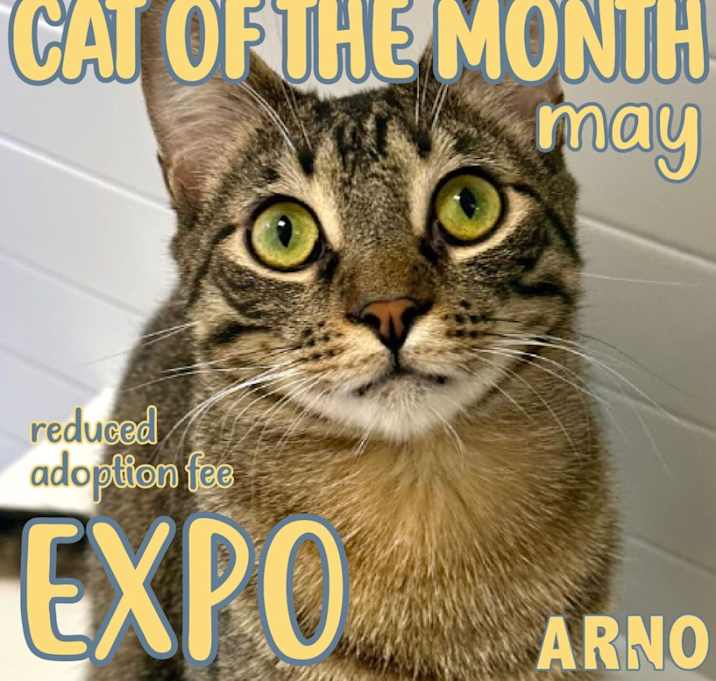 Photo of Expo