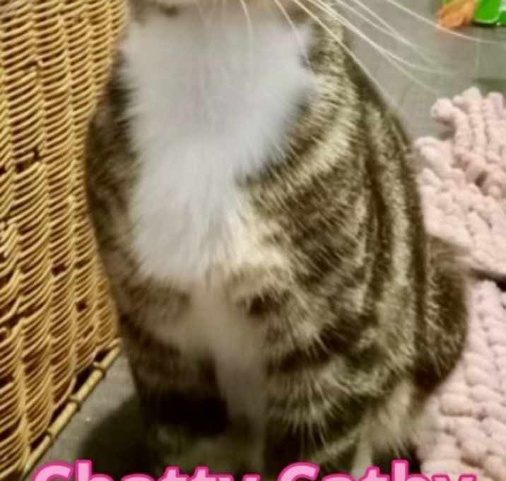 Photo of Chatty Cathy