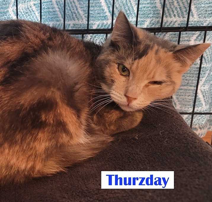 Photo of Thurzday