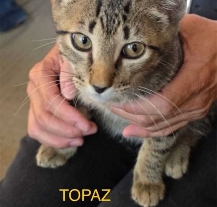 Photo of TOPAZ