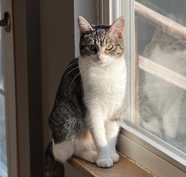 Photo of Lilly