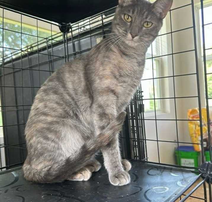 Photo of Chloe - TV