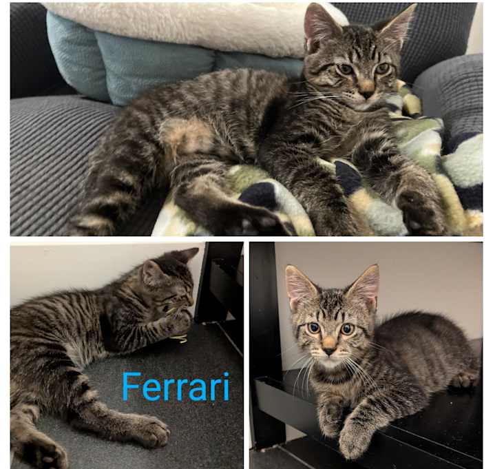 Photo of Ferrari