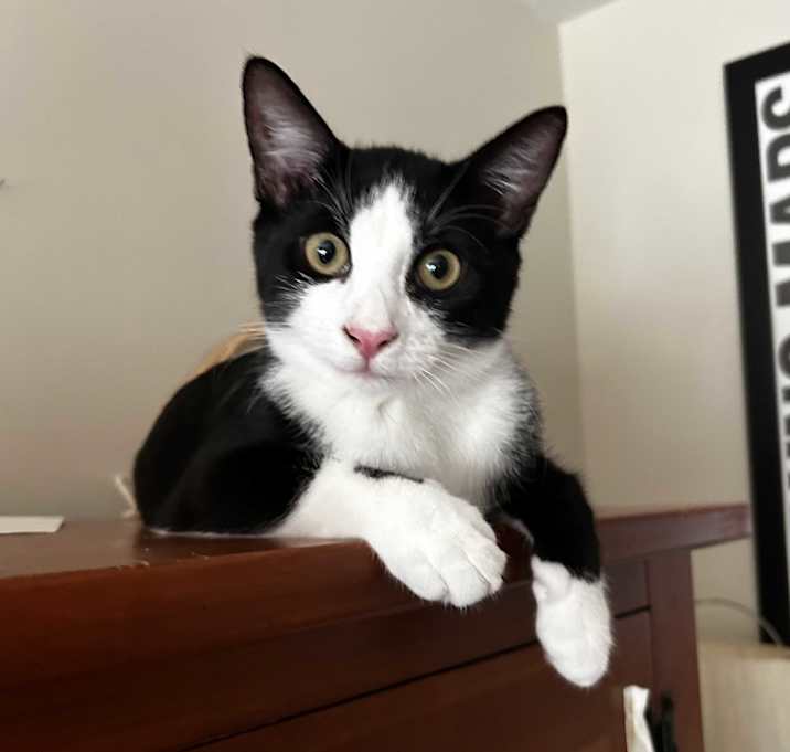 Photo of Rogelio