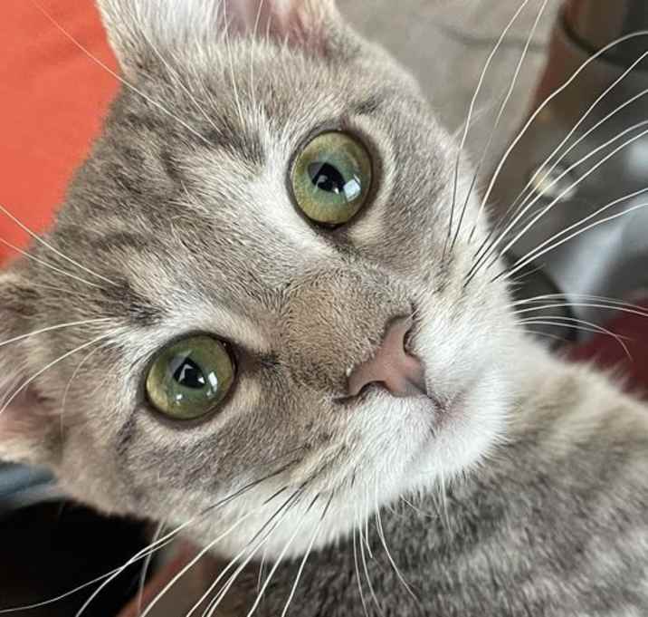 Photo of Nora Ann