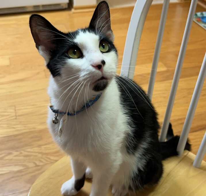 Photo of Jasper