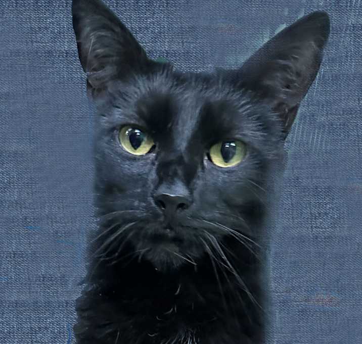 Photo of Sabrina