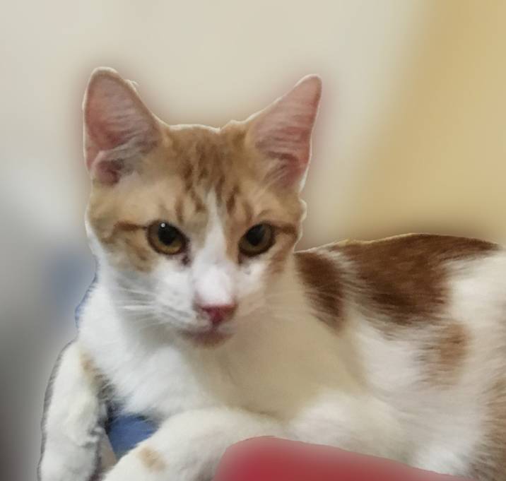 Photo of Fuzzy