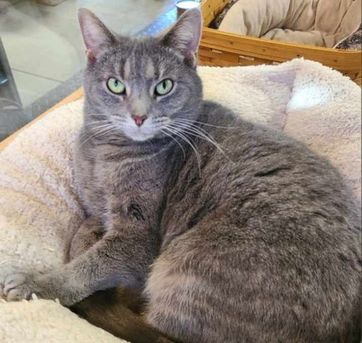 Photo of April