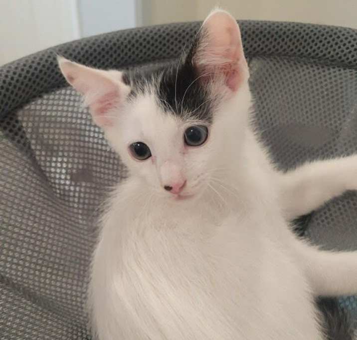 Photo of Jacob