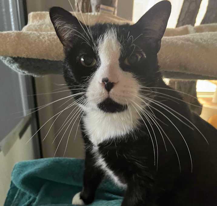 Photo of TUX