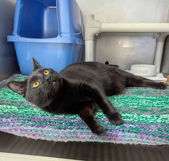 Photo of Nebula