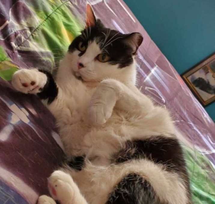 Photo of Aspen