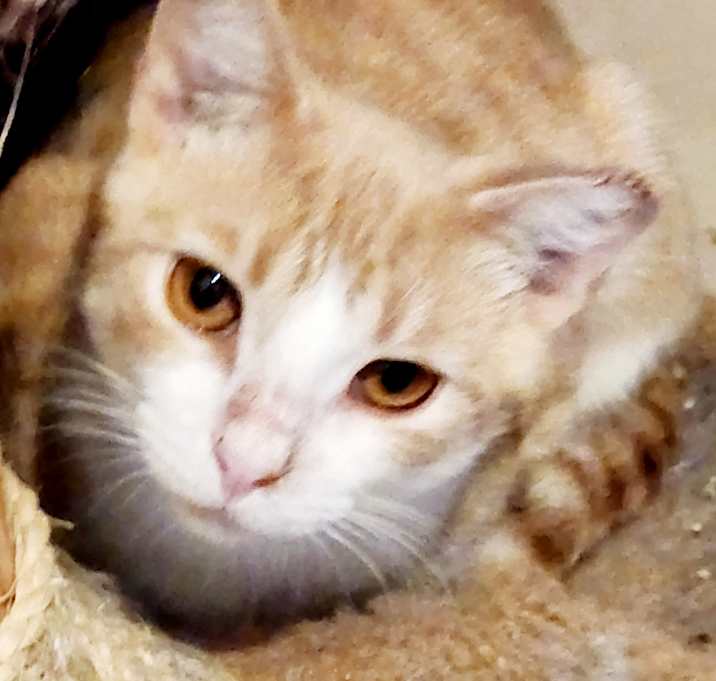 Photo of Ricky