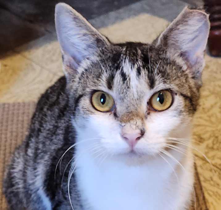 Photo of Sophia