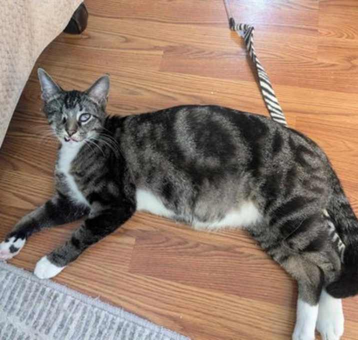 Photo of BUZZ