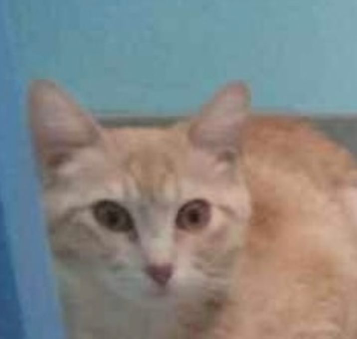 Photo of Jaspurr