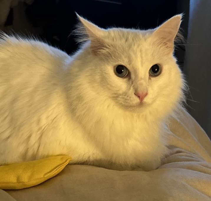 Photo of Max