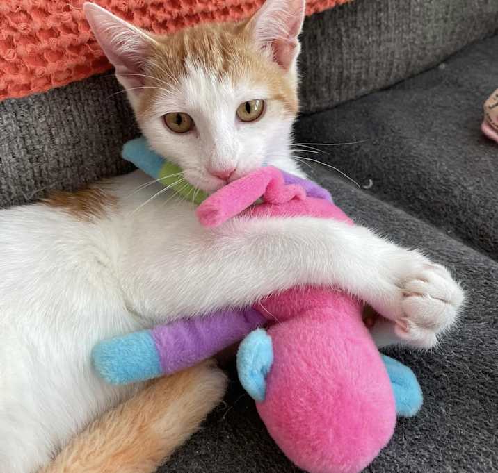 Photo of Parker
