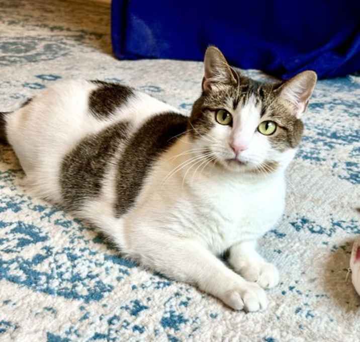 Photo of Leia