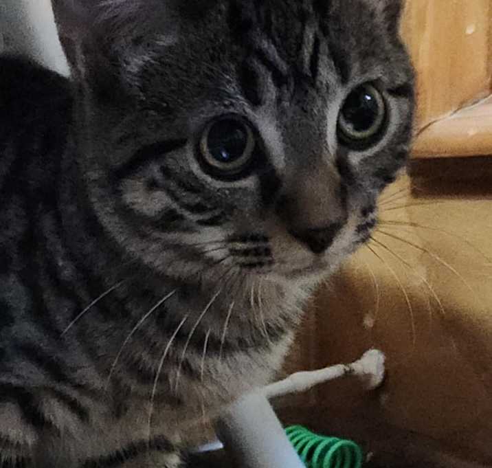 Photo of Olivia
