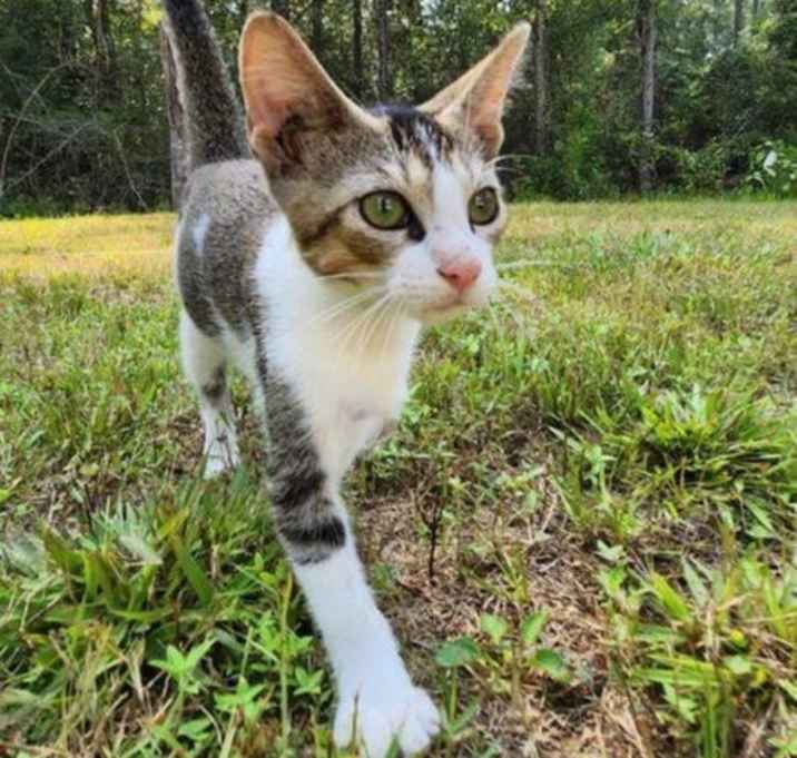 Photo of Jax