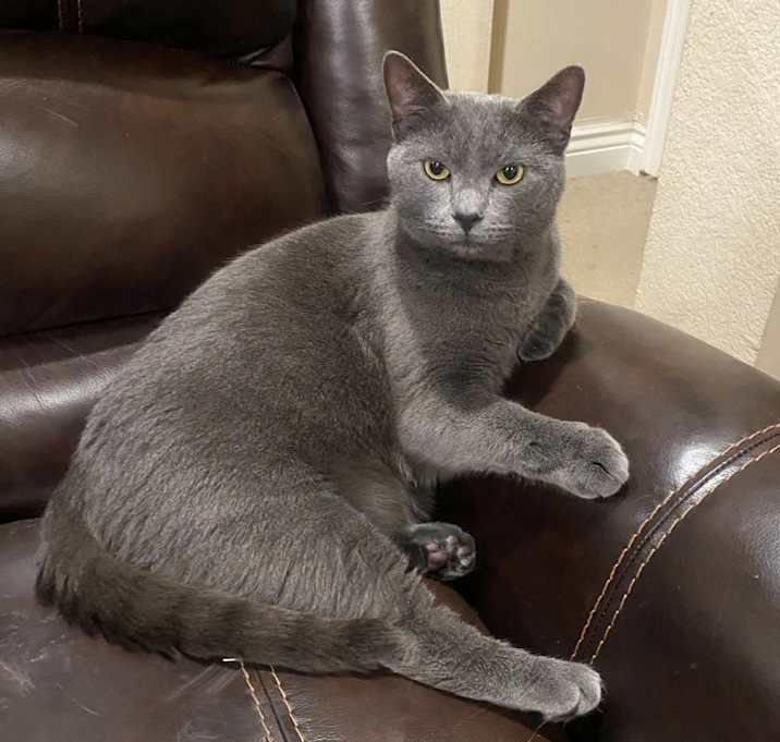 Photo of Stubbs